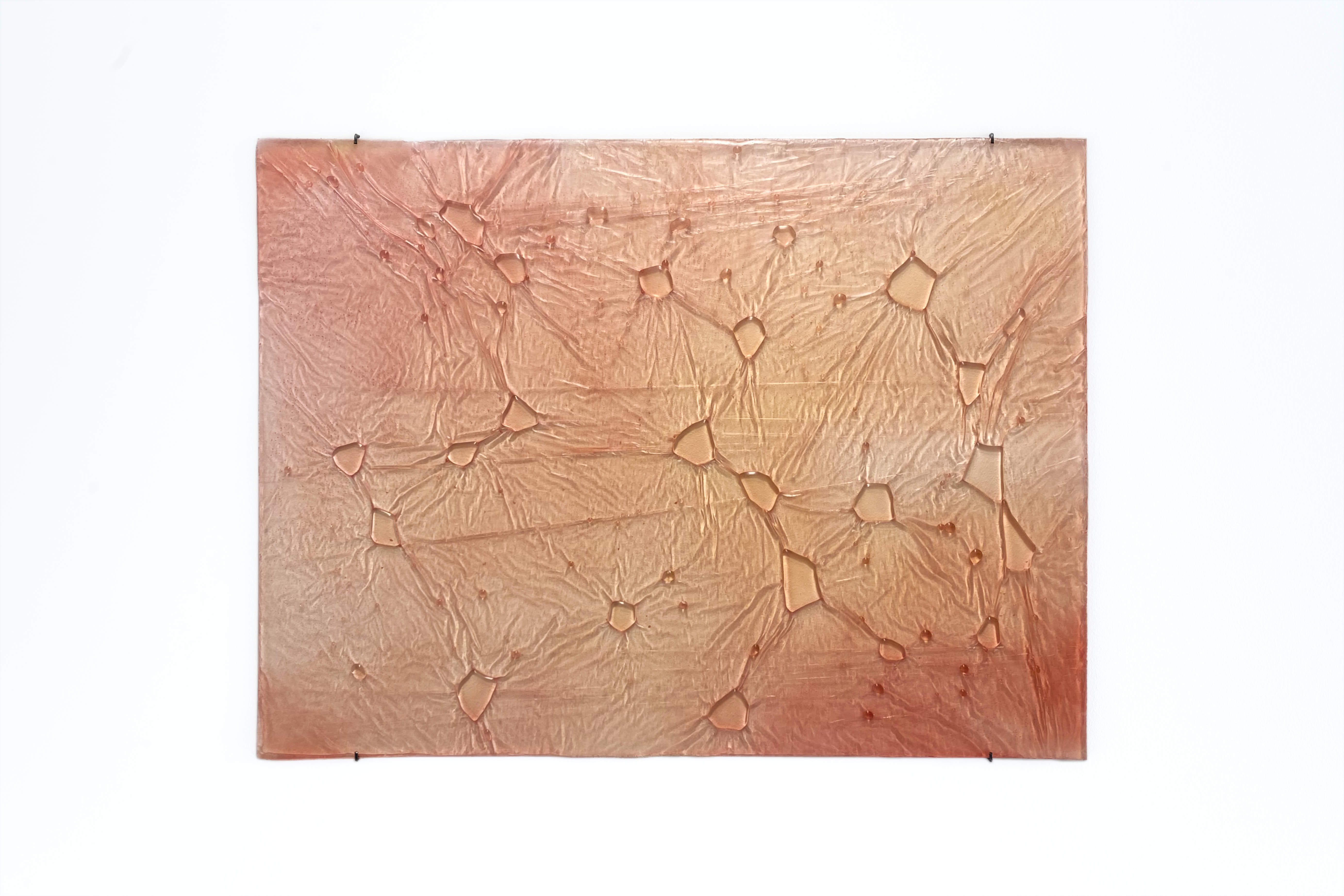 Vanessa Billy, Plastic Molecules (coral positive), Biobased resin, 80 x 60 x 1 cm, 2019