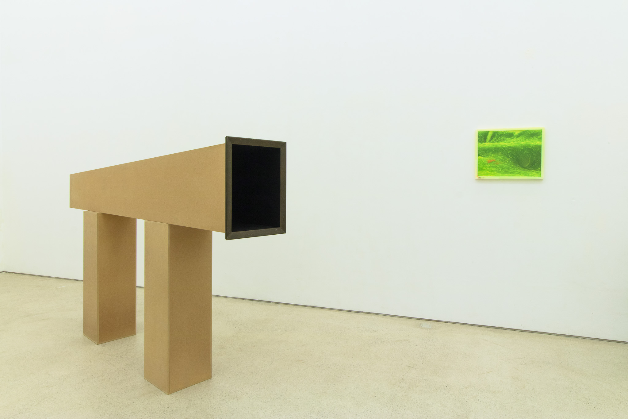 Andy Hope 1930 and Susi Gelb